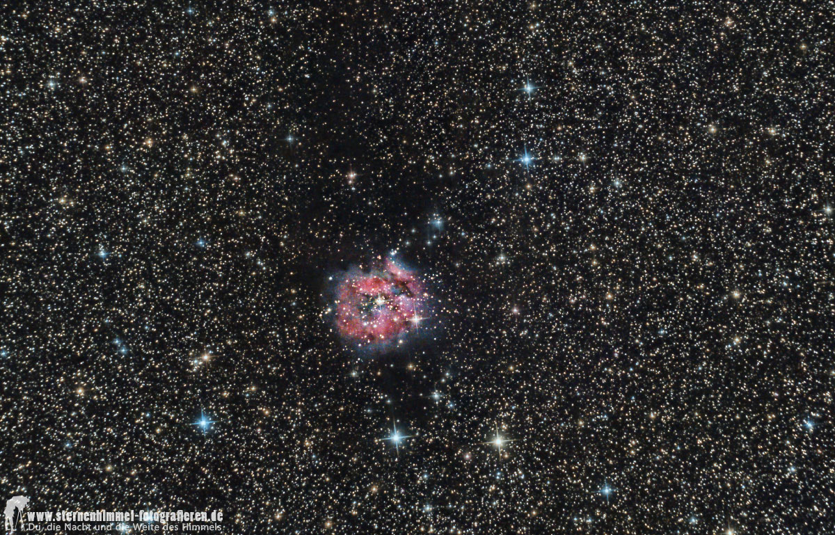 Cocoon- Kokon-Nebel mit Collinder 470 und B168 im Sternbild Cygnus, Schwan, 750 mm