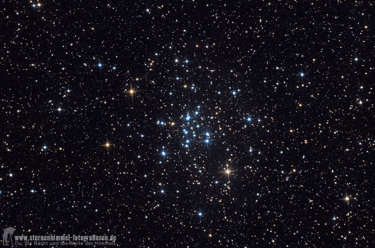Der offene Sternhaufen M34, Messier 34, NGC 1039 im Sternbild Perseus mit 750 mm am Newton 150/750