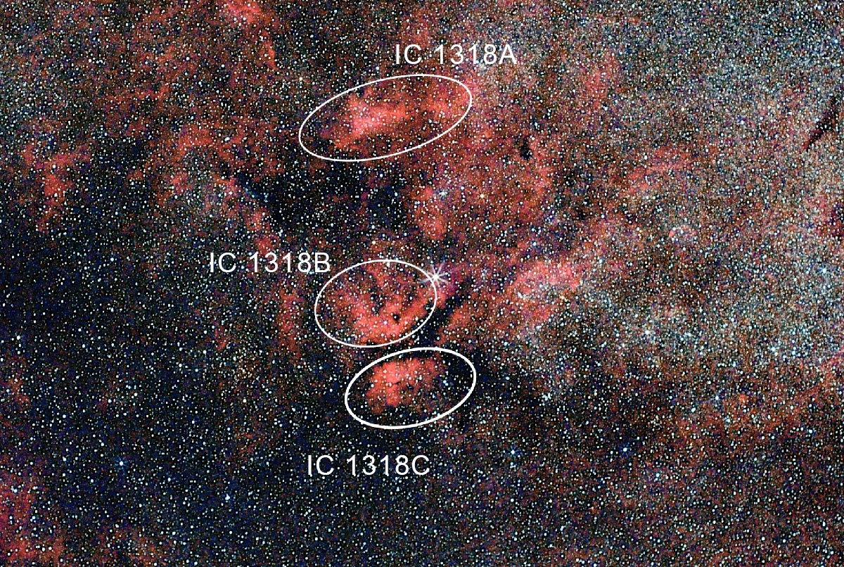 IC 1318 A, B und C im Sternbild Schwan - Cygnus