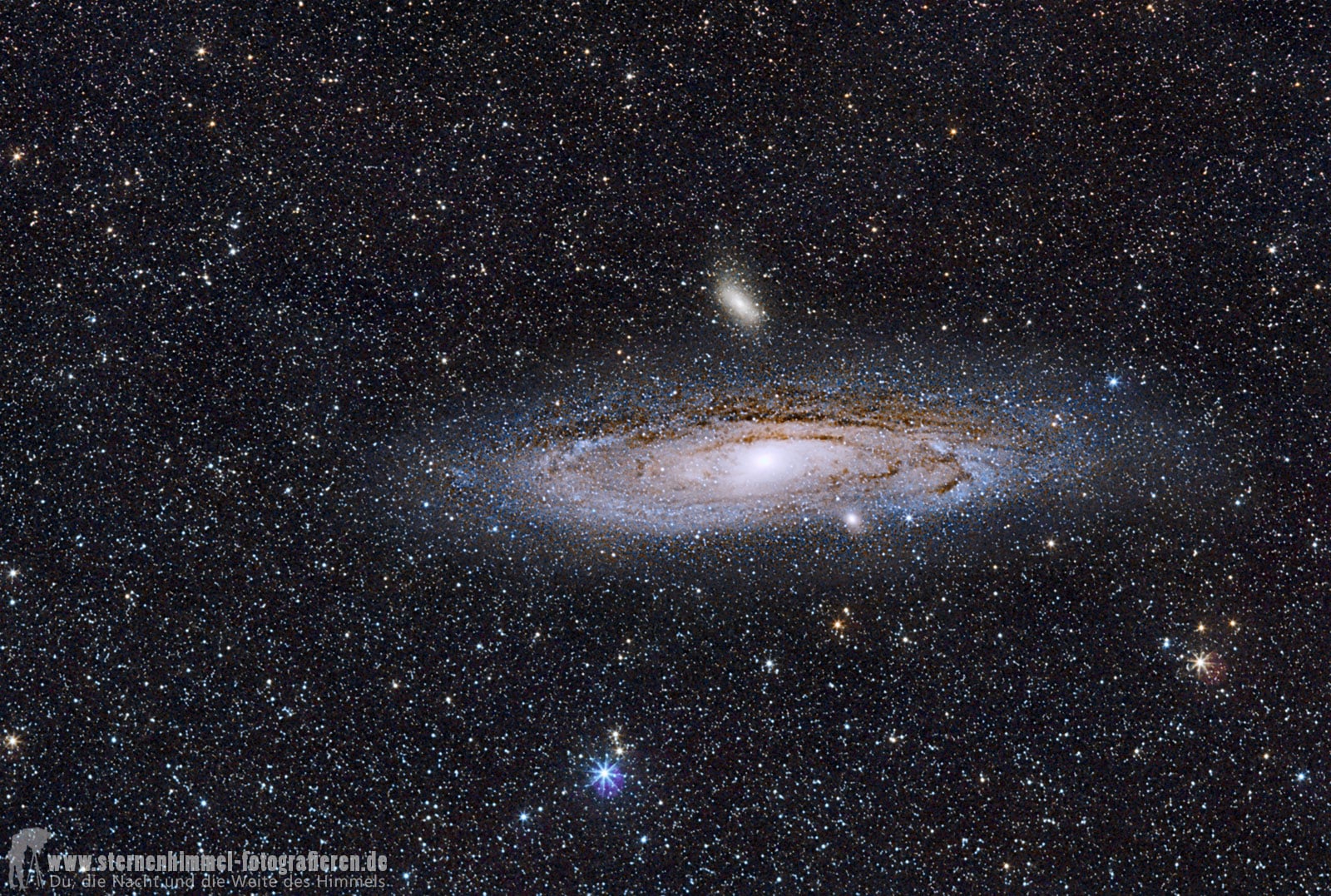 Andromeda mit 200 mm - ca. 50% beschnitten