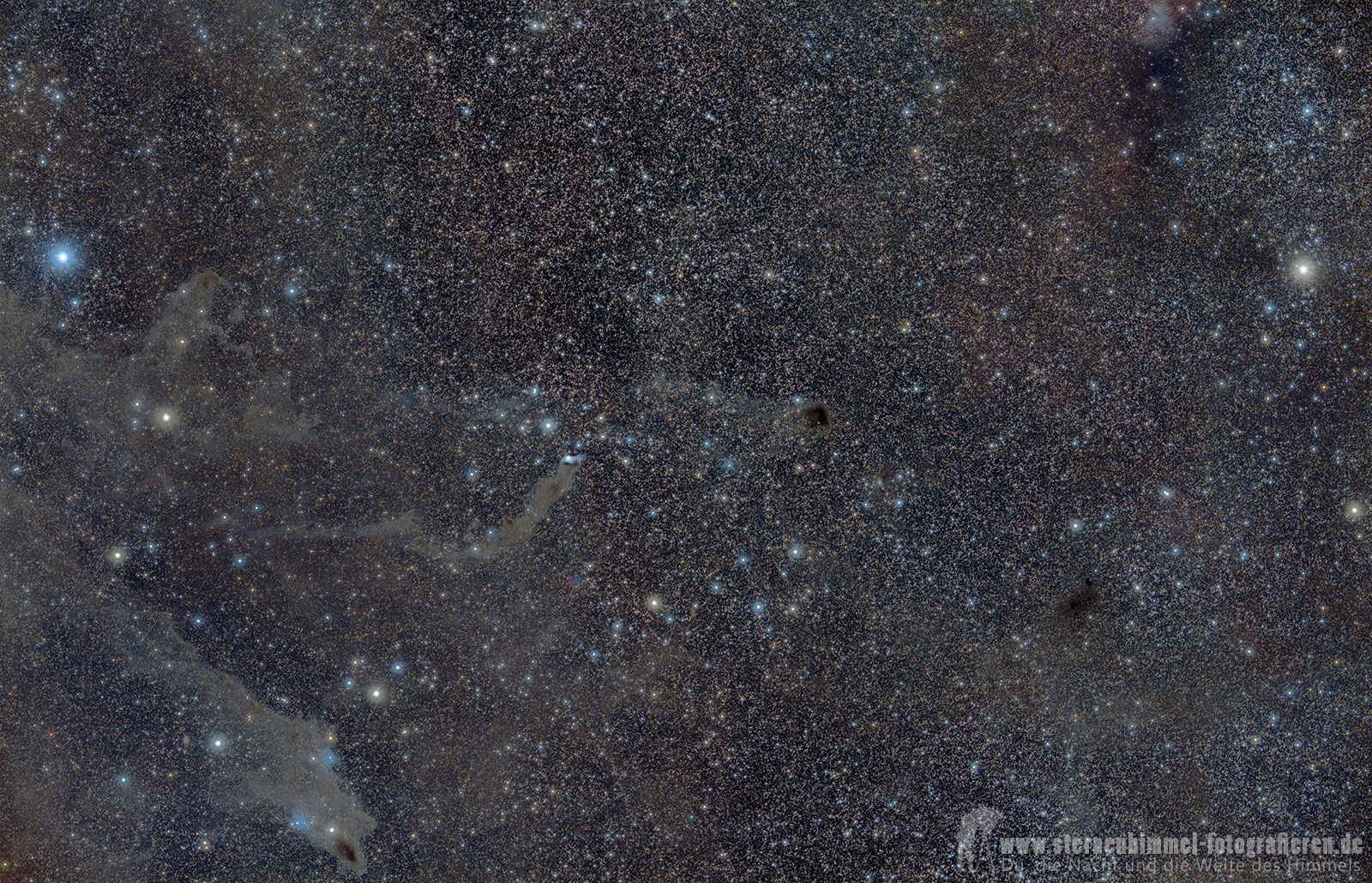 Widefield im Sternbild Cepheus - 135 mm mit Dunkelnebel und VdB-Objekten