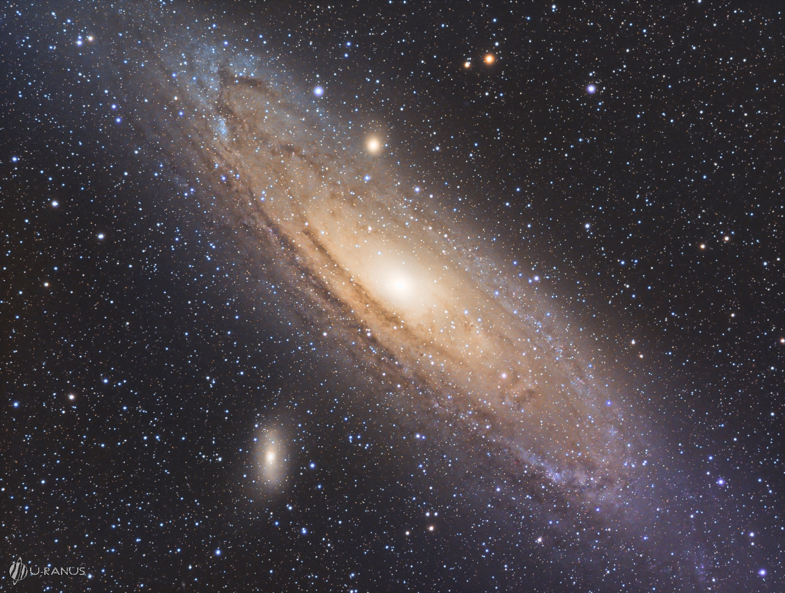 Ein beliebtes Anfänger-Ziel: Andromeda, unsere Nachbargalaxie