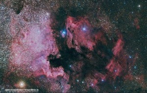 NGC 7000 + IC-5667  